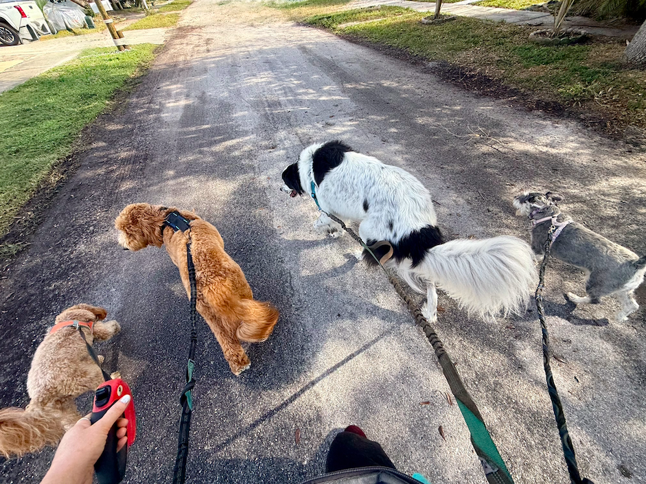 Screen Shot 2026-01-06 at 5.26.12 PM.png