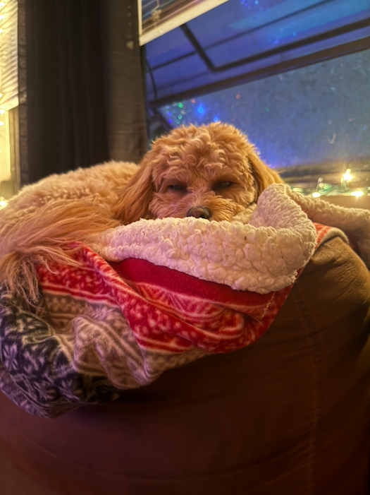 Screen Shot 2025-12-25 at 11.21.53 PM.png