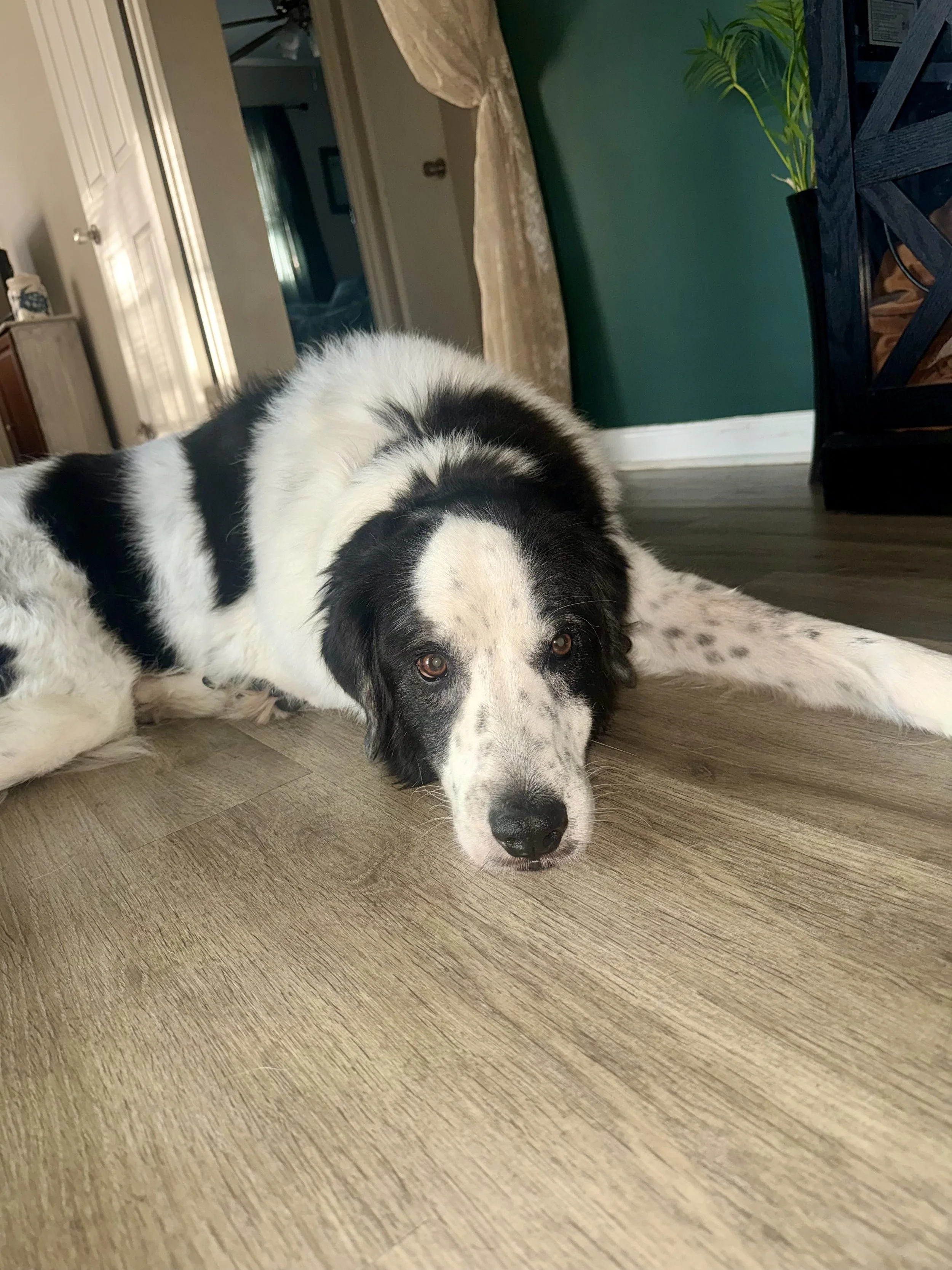 FullSizeRender (9).jpeg