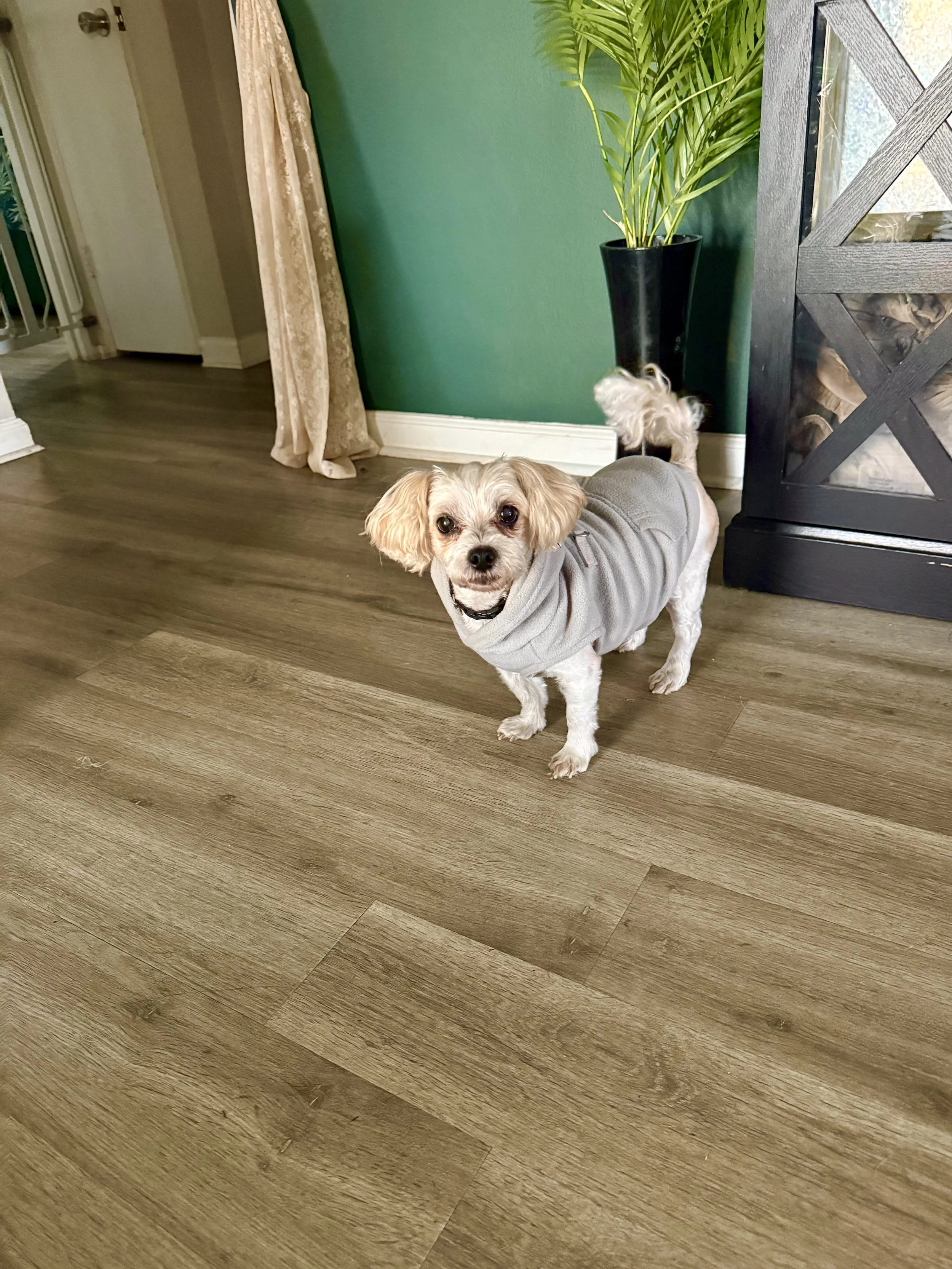 FullSizeRender (8).jpeg