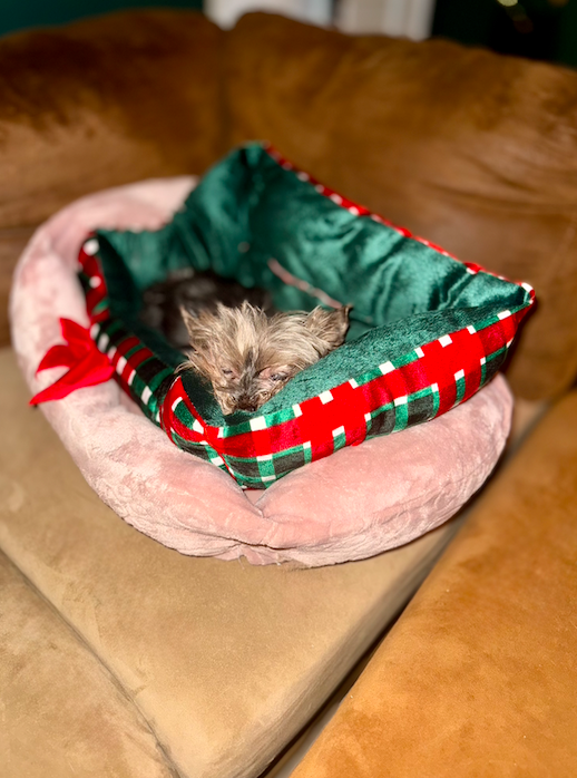 Screen Shot 2025-12-25 at 11.21.23 PM.png