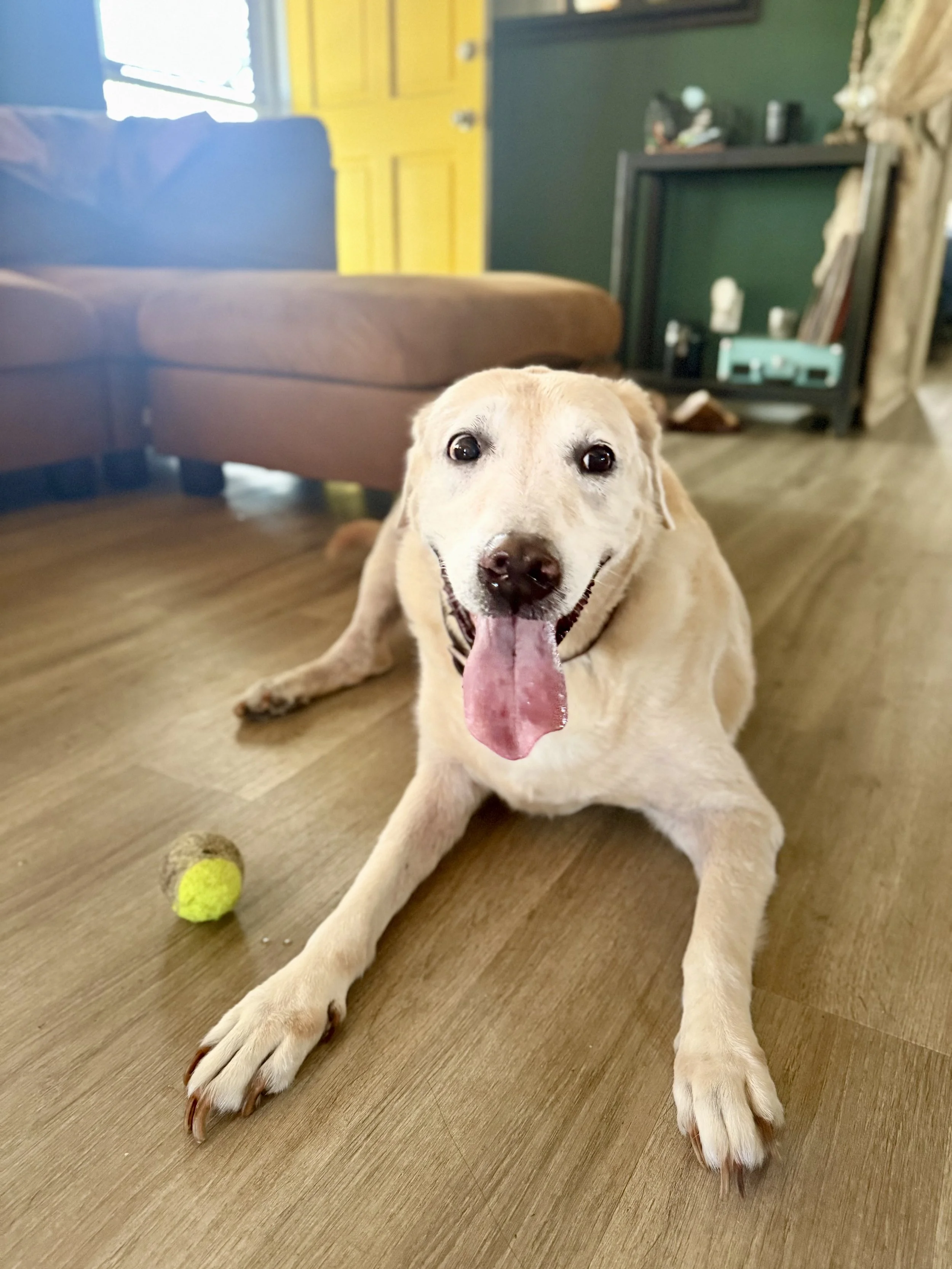 FullSizeRender (7).jpeg