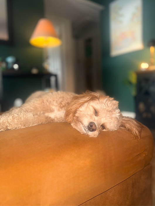 Screen Shot 2026-01-06 at 5.27.16 PM.png