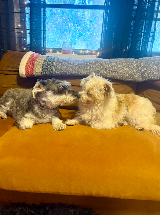 Screen Shot 2025-12-25 at 11.21.39 PM.png