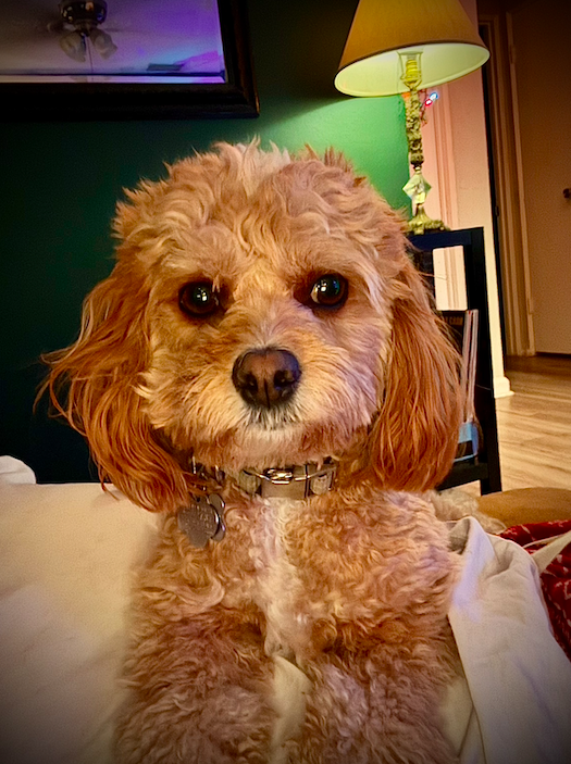 Screen Shot 2025-12-25 at 11.20.20 PM.png