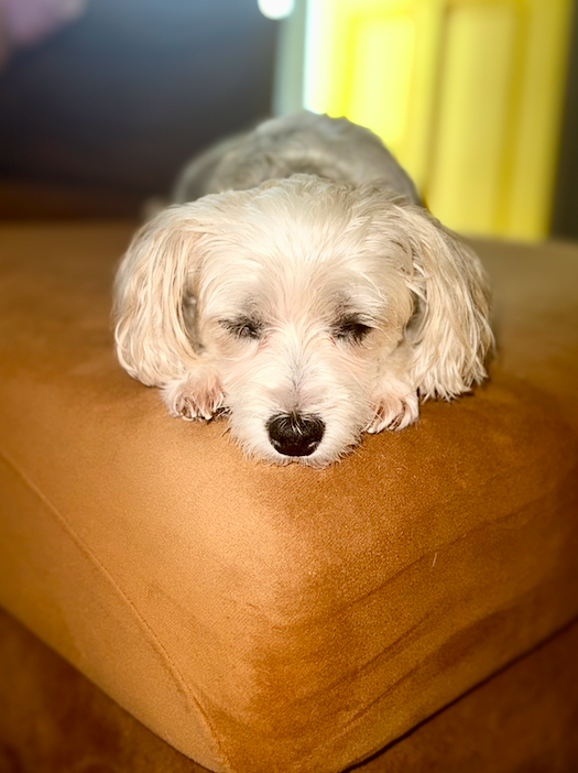 Screen Shot 2025-12-25 at 11.22.33 PM.png