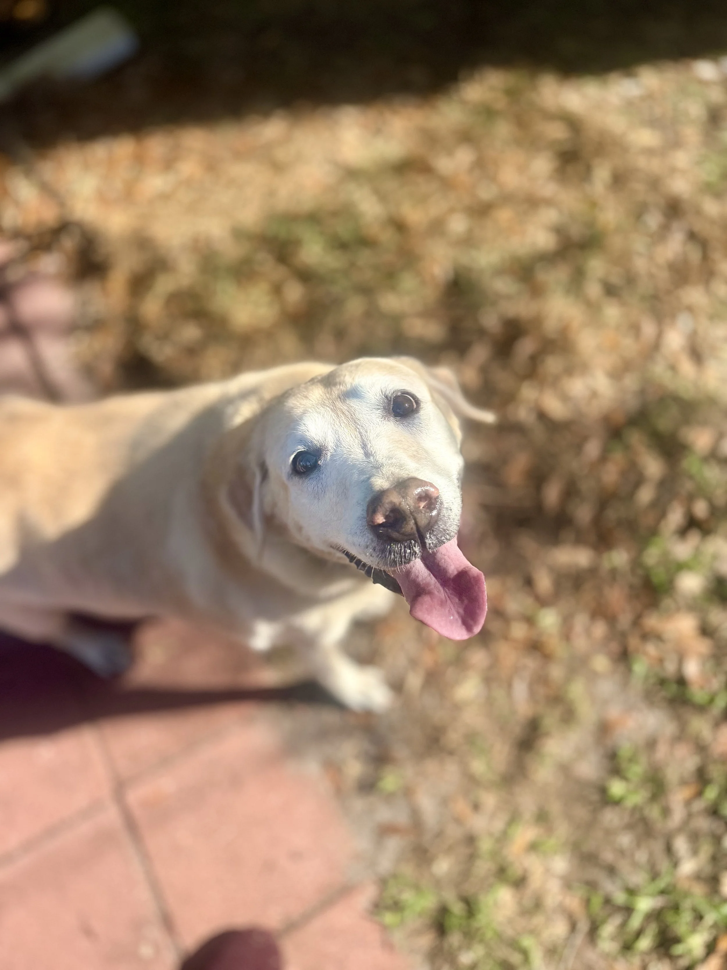 FullSizeRender (6).jpeg