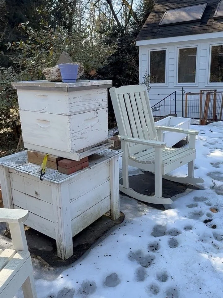 Contrary to popular belief, honey bees do not hibernate during the winter. They cluster together inside the hive huddled together in a ball for warmth. They shiver and eat honey to stay warm. On the warmer days such as today they do a little house ke