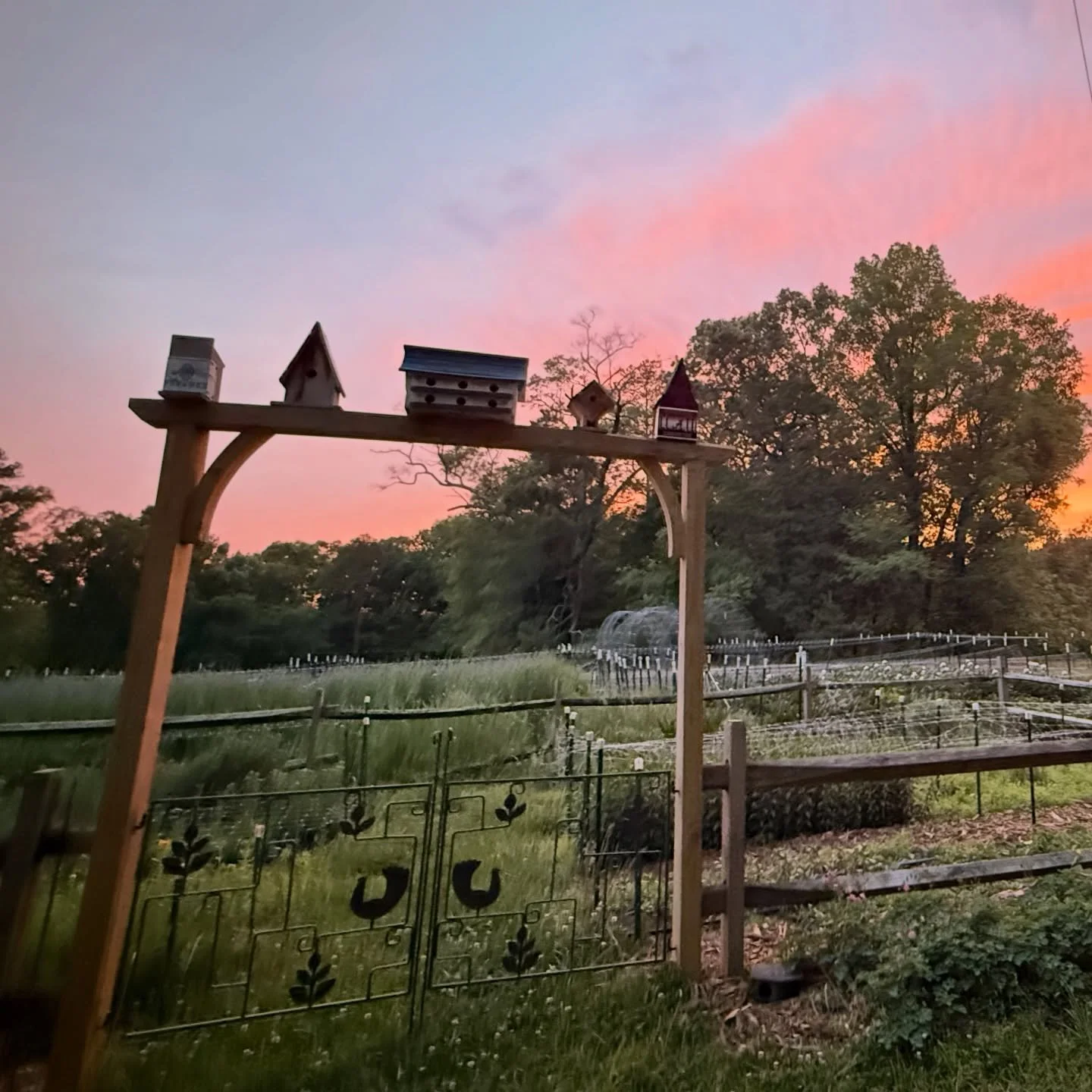 Looking for a Mother&rsquo;s Day gift that combines not one but two of your favorite mom&rsquo;s passions:  yoga AND flowers?! We&rsquo;ve got two more sessions of yoga at the farm coming up! The mother in your life will take her yoga practice to a n