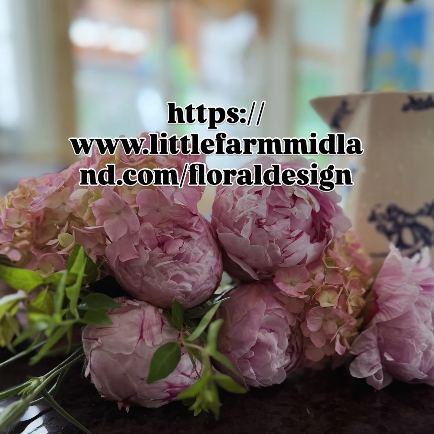 Created a perfectly lovely post to remind folks about our upcoming floral design workshops at the farm. And Instagram saw fit to delete?hide? it. Not sure! At any rate 

We are having workshops at the farm to learn all about floral design and what to