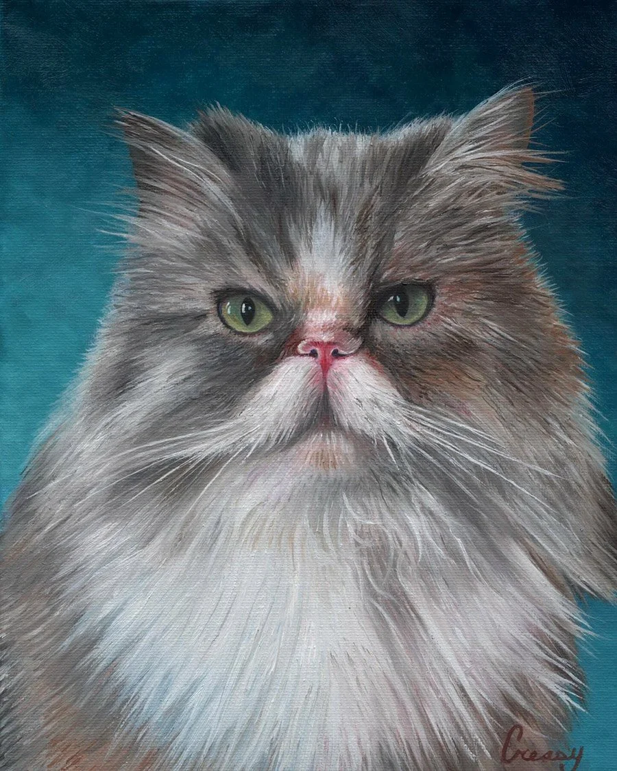A realistic painting of a fluffy gray and white cat with green eyes and a pink nose, against a teal background.