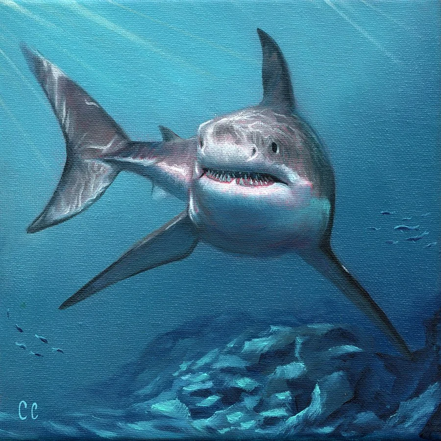 Jaws 10