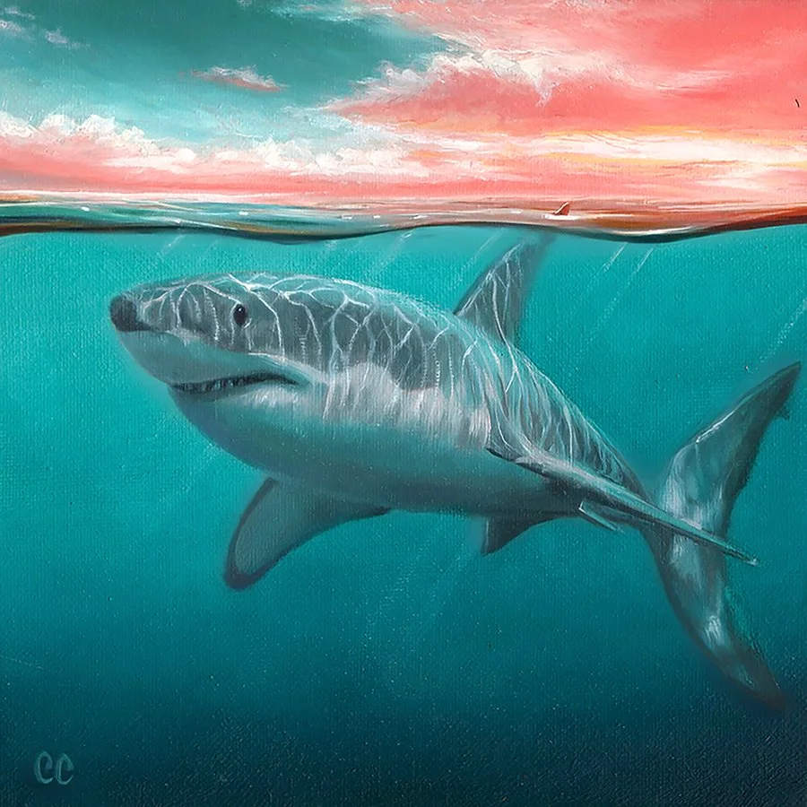 Jaws 9