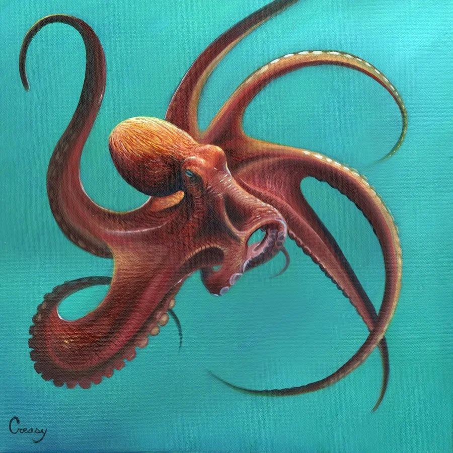 Red Octopus