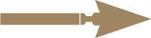 An icon of an arrow pointing to the right.