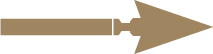 A icon of an arrow pointing to the right.