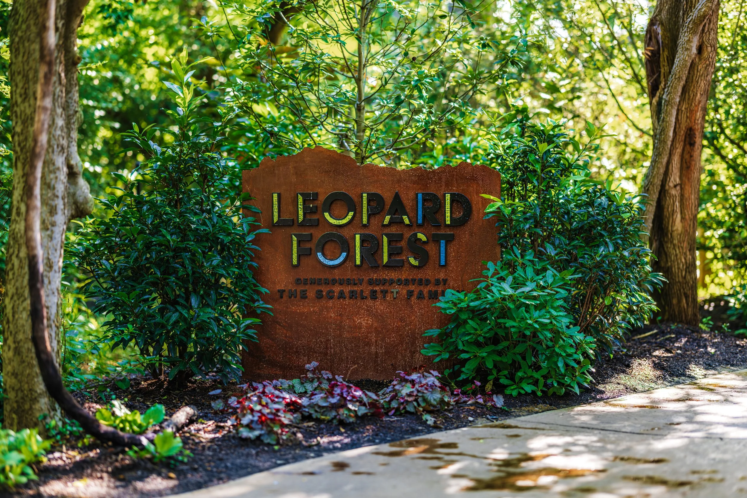 Sign in a lush green forest reading 'Leopard Forest' with smaller text beneath.