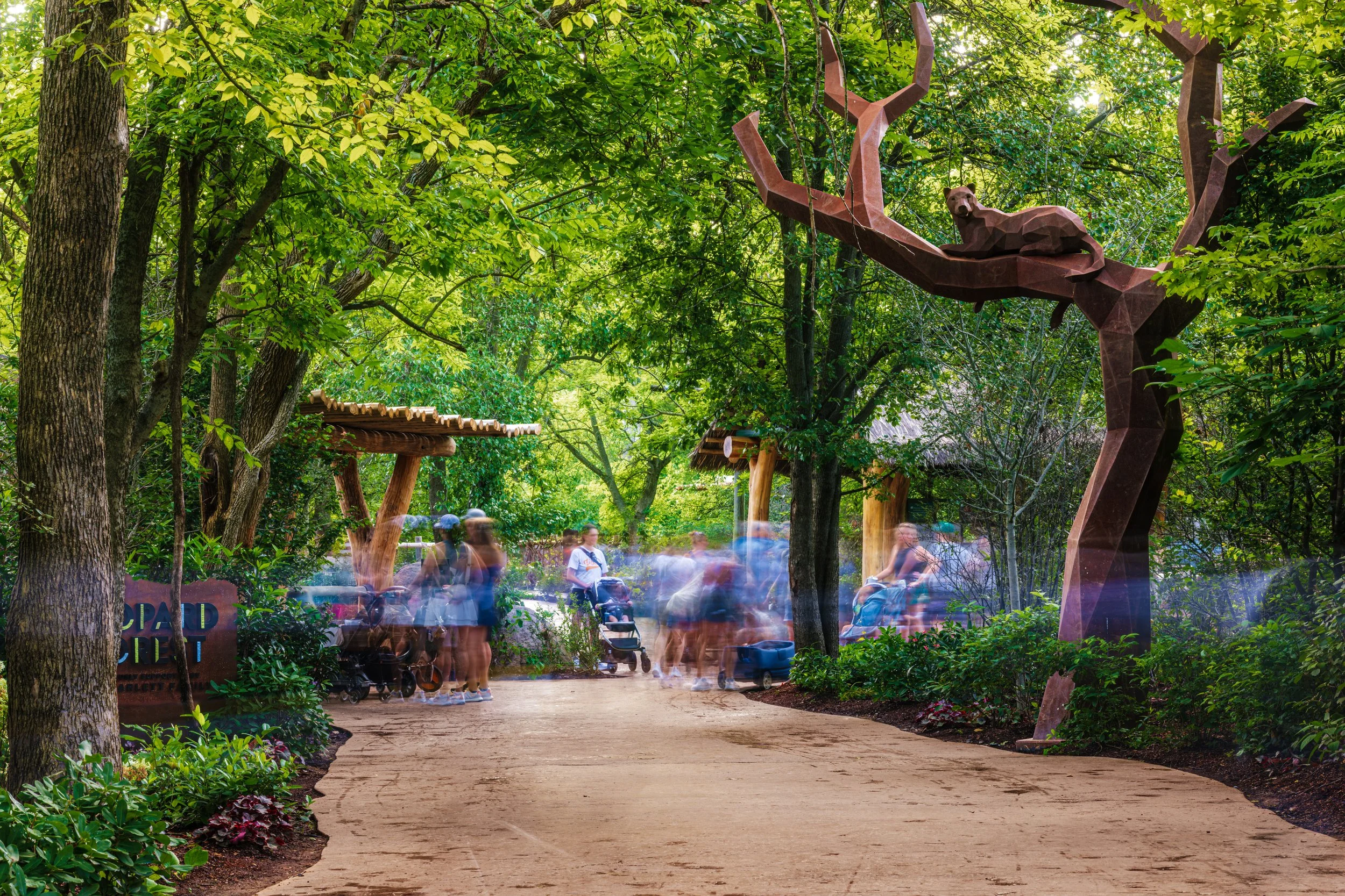 A metal sculpture of a leopard lying on a tree branch in a lush green park, with blurred people walking on the path below and trees surrounding the scene.