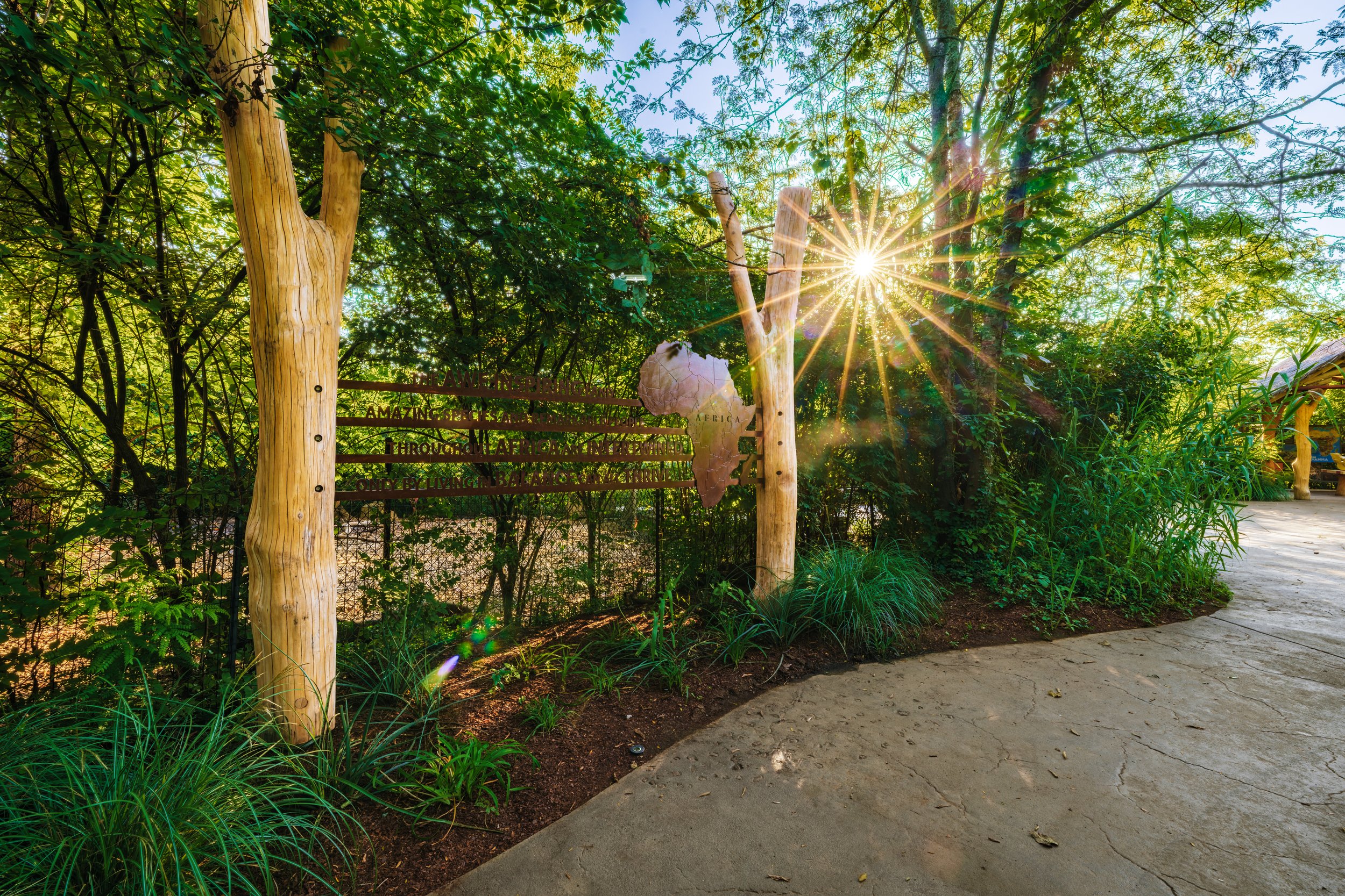 Sunlight filtering through trees illuminates a sign on a wooden post at the entrance of a nature trail, with dense green foliage surrounding the path.