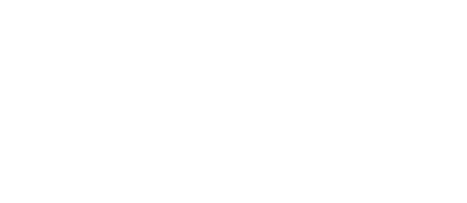 Logo of State Armor showing an eagle's head inside a shield.