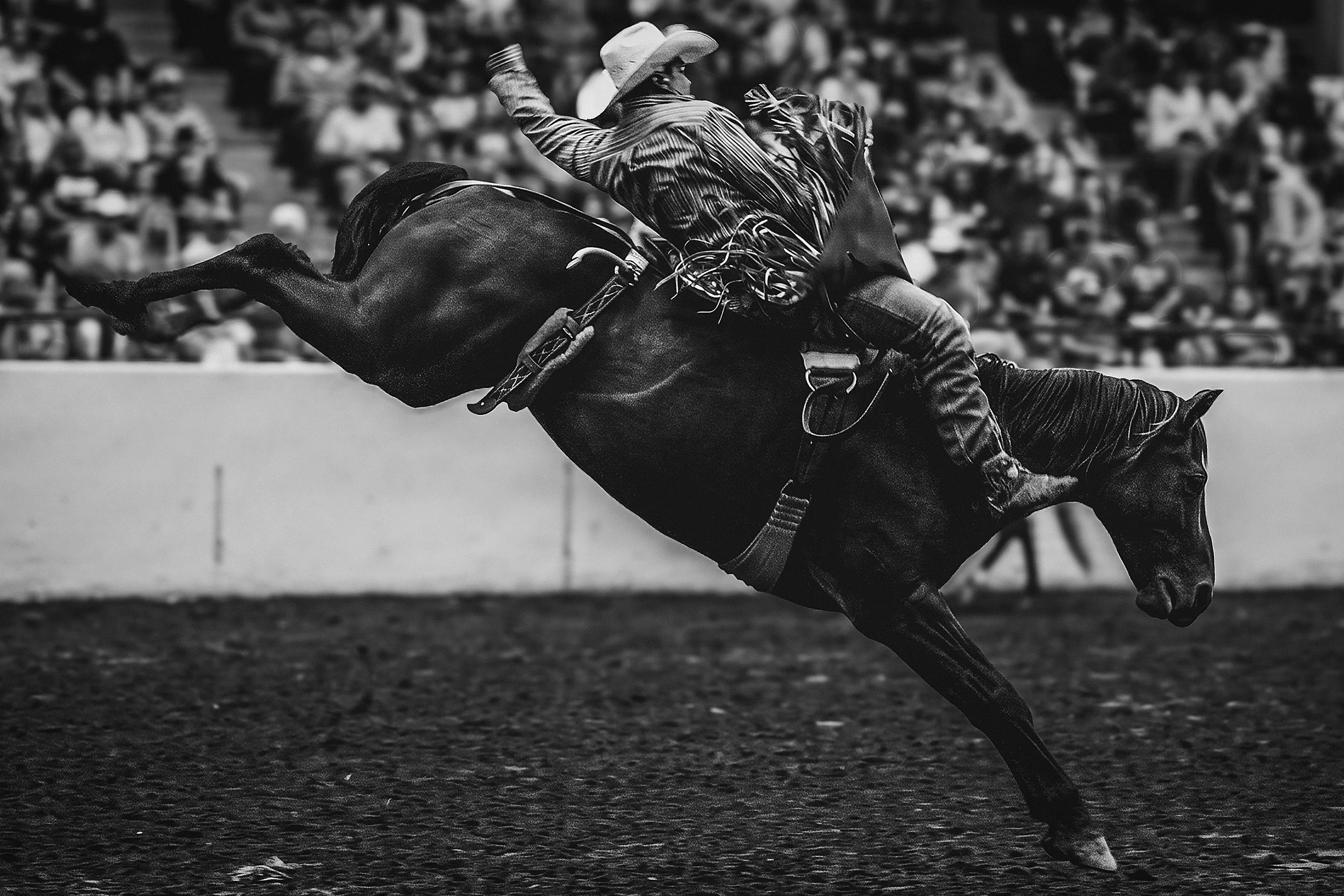 A cowboy riding a bucking horse during a rodeo event, with an audience in the background.