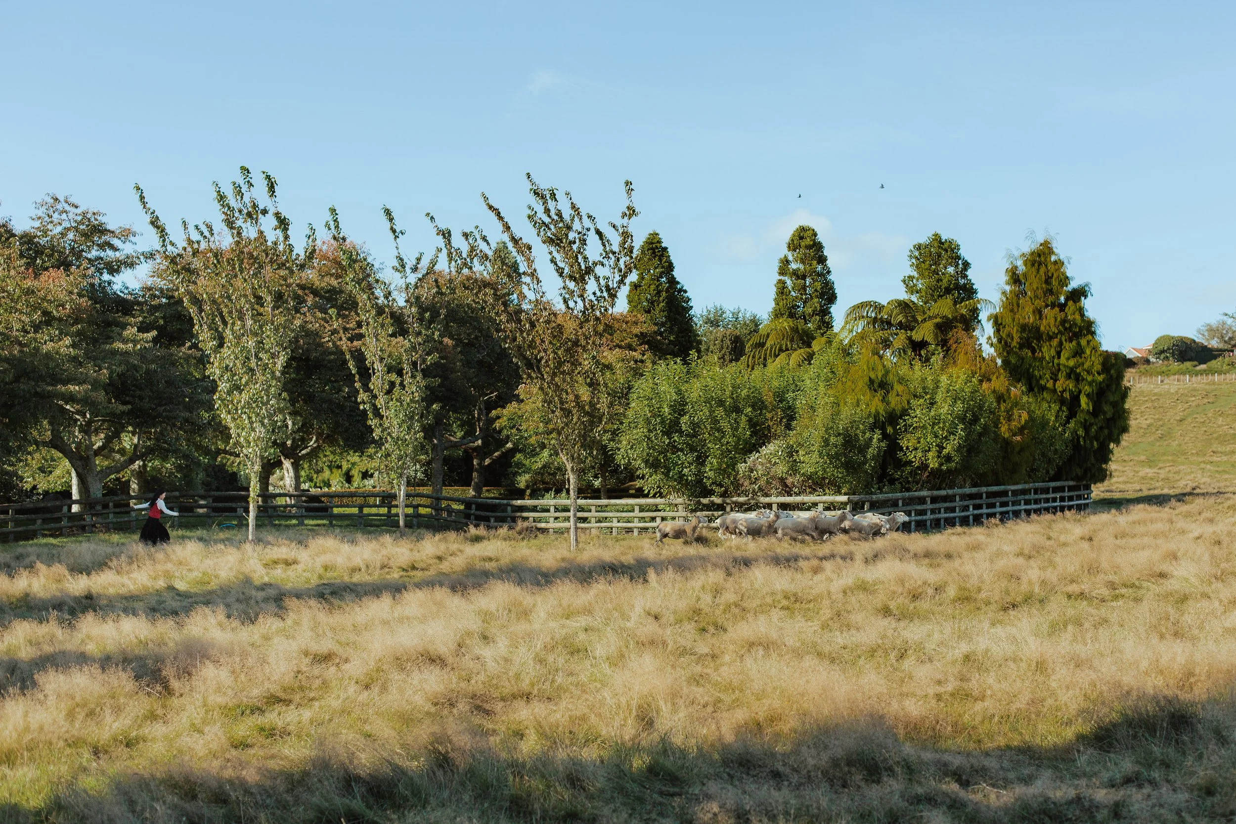 Kaisin Family Full Size -85.jpg