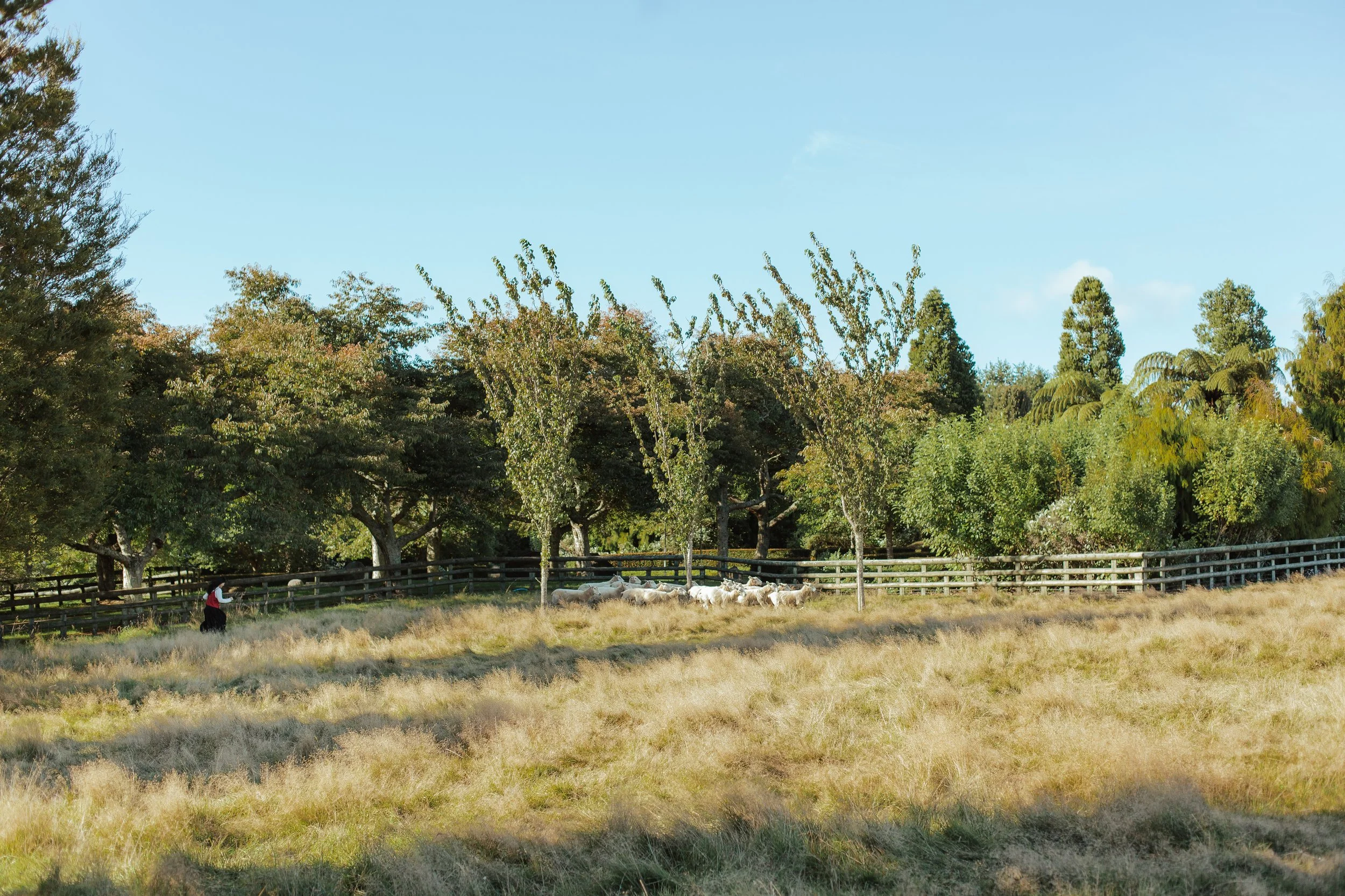 Kaisin Family Full Size -83.jpg