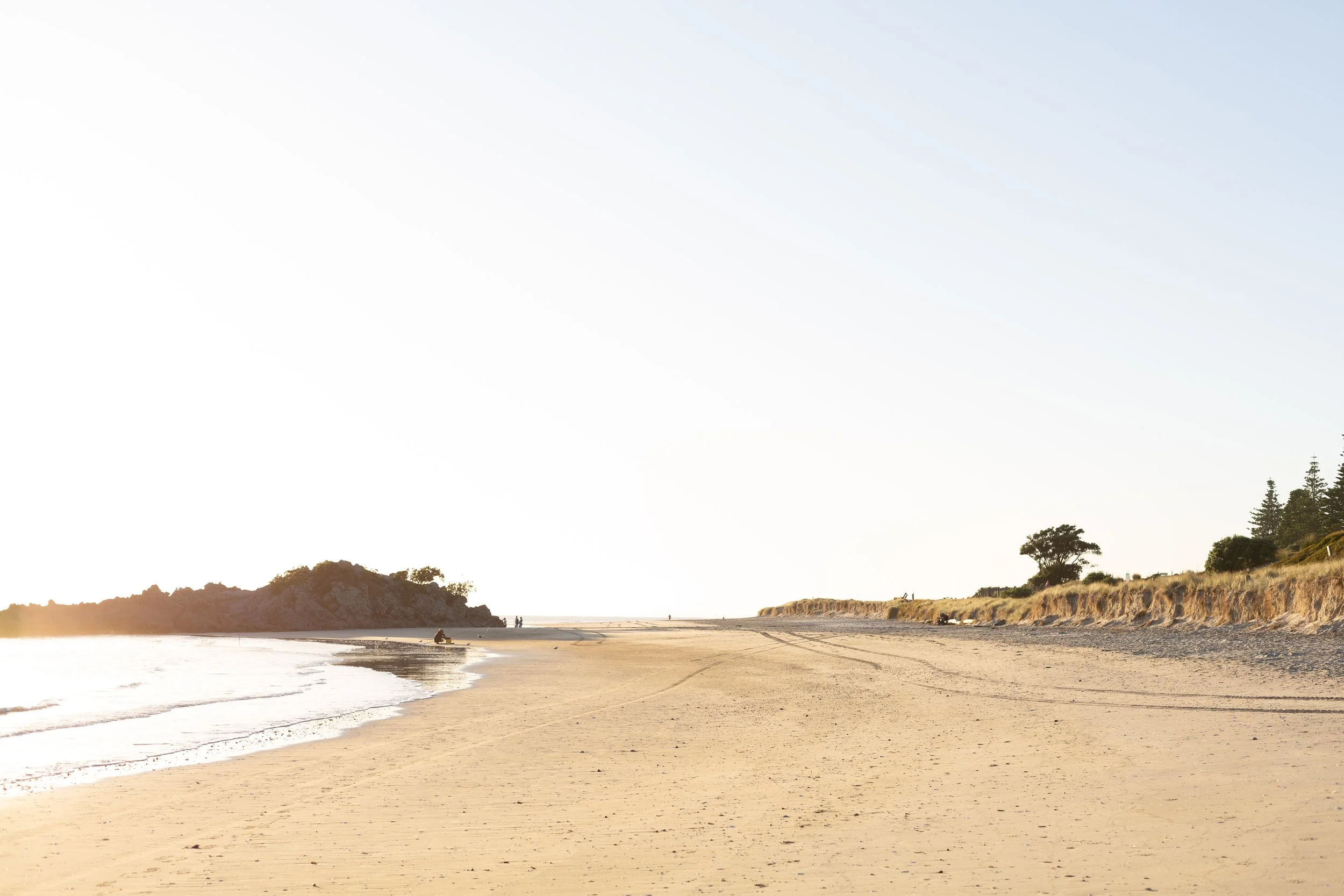 Alicia + Sam FS-1.jpg