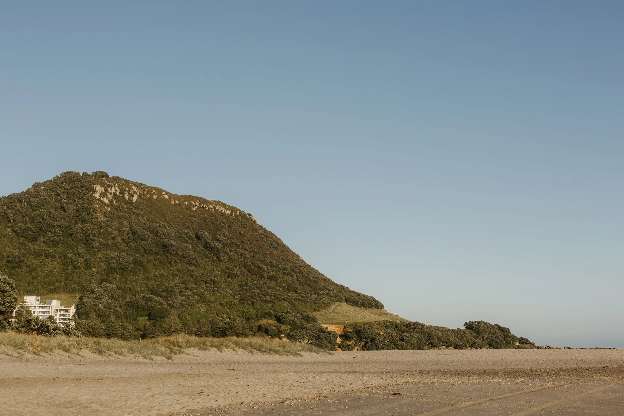 Alicia + Sam FS-3.jpg