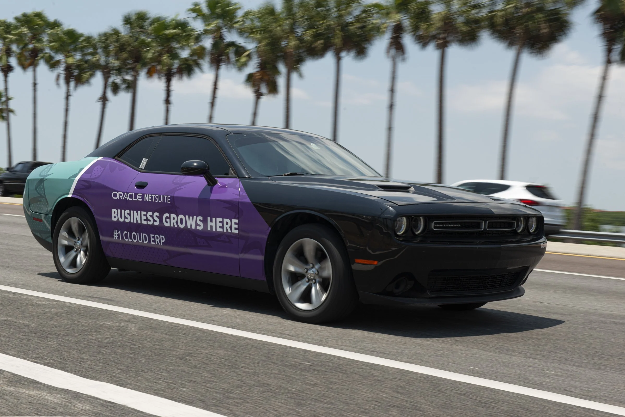 Edit 2_TCP_9468Timothy Cox_Will_Snappr_Tampa_210527_.jpg