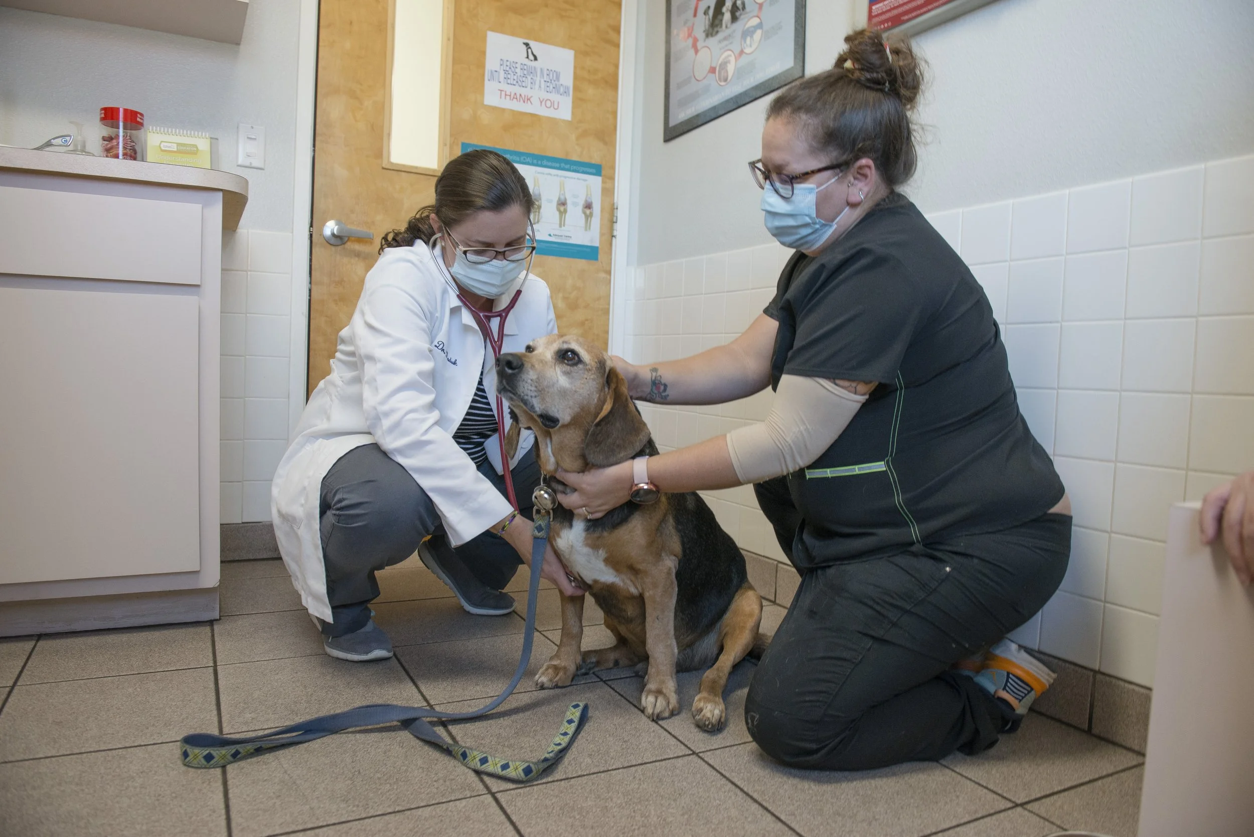 Adventures of Tim Cox_Photography_2021_Snappr_AMC_Vet_210929_20210929_7837.JPG