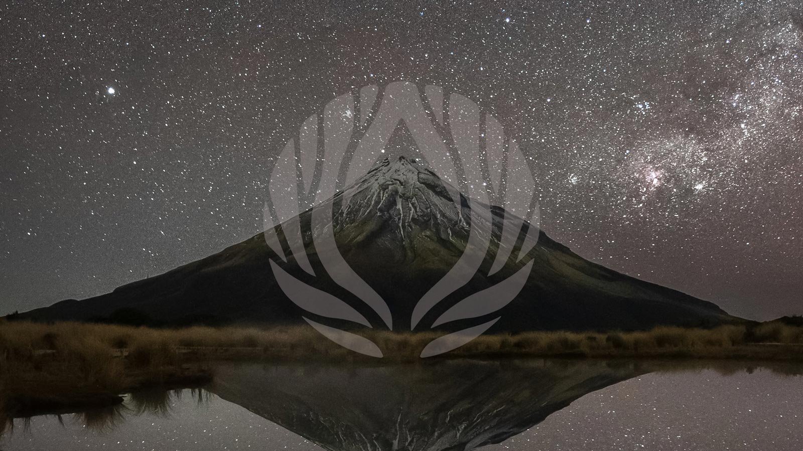 Introducing Biome Trust