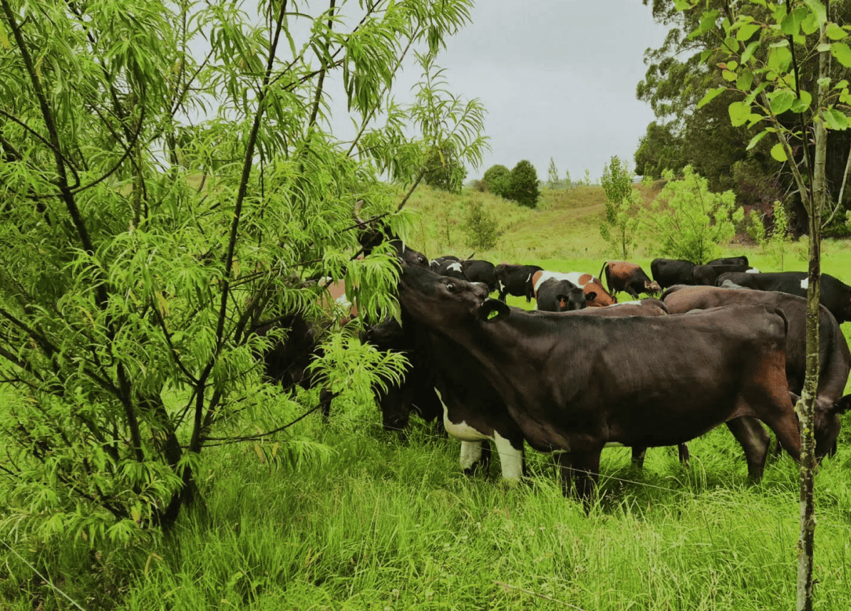 Farming in Service to Life - September Newsletter