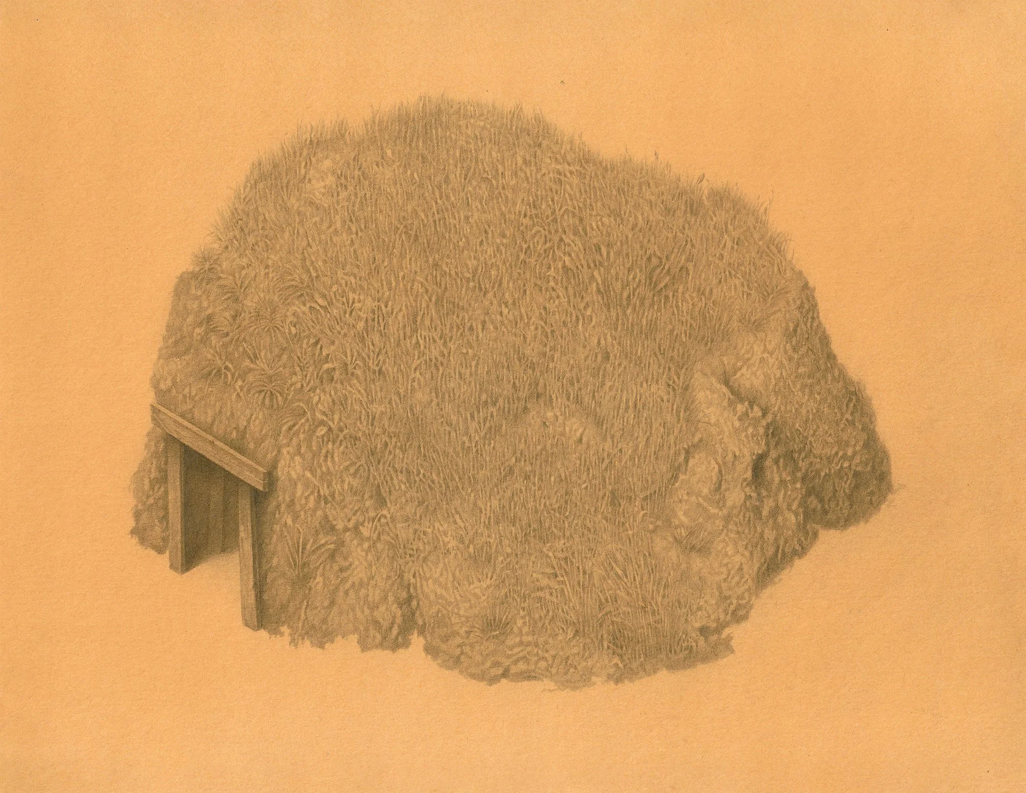 Drawing — Rhys Edwards