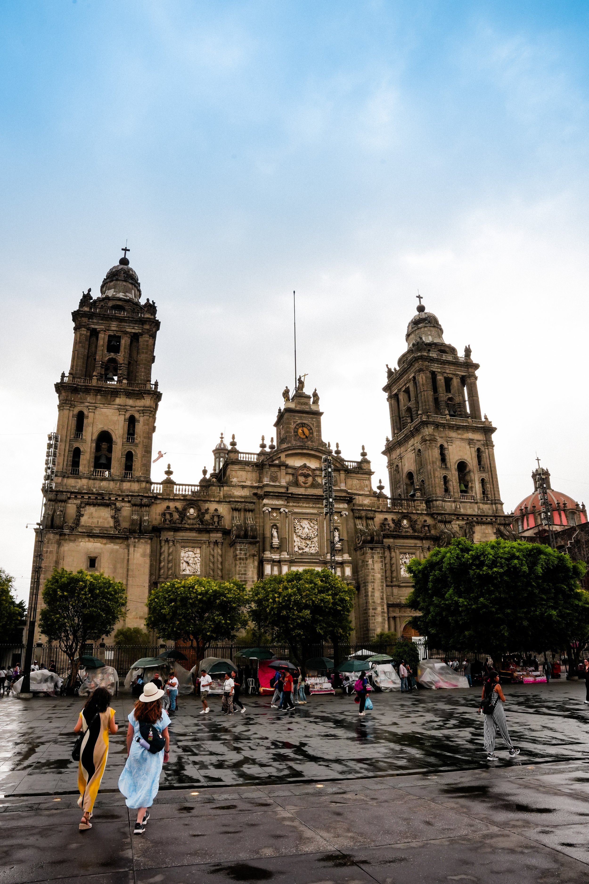 DSC02436-2.jpg