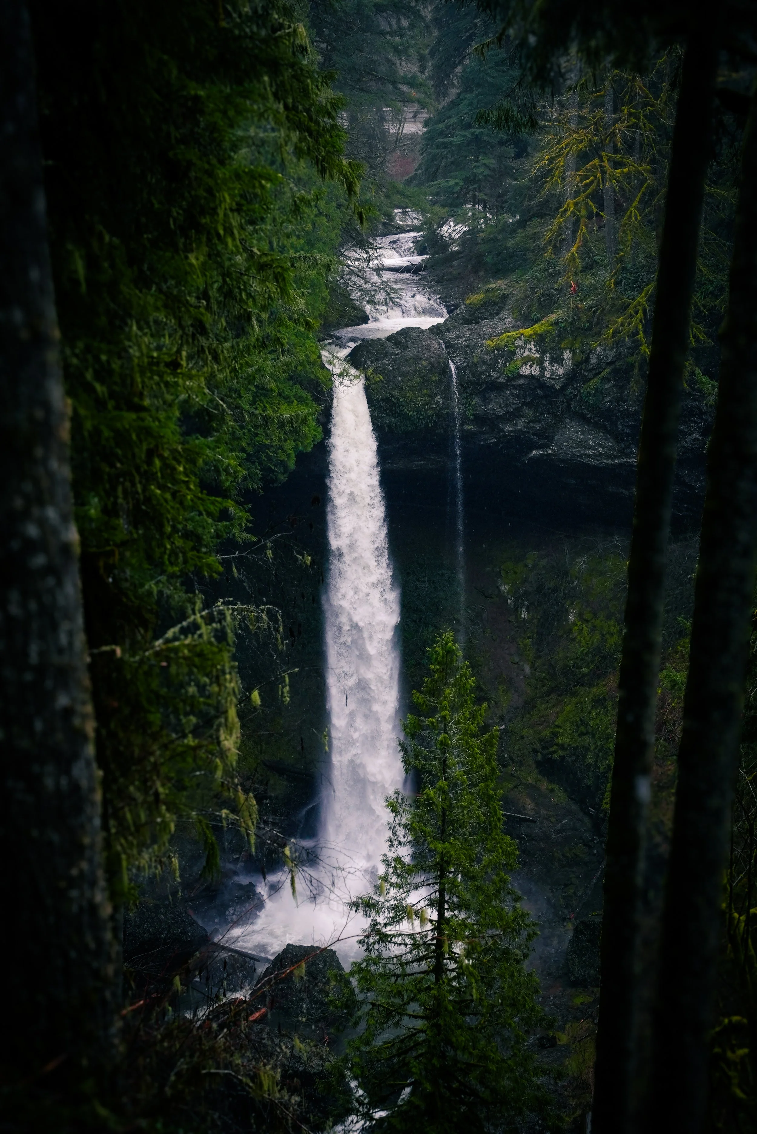 DSC00675-2.jpg