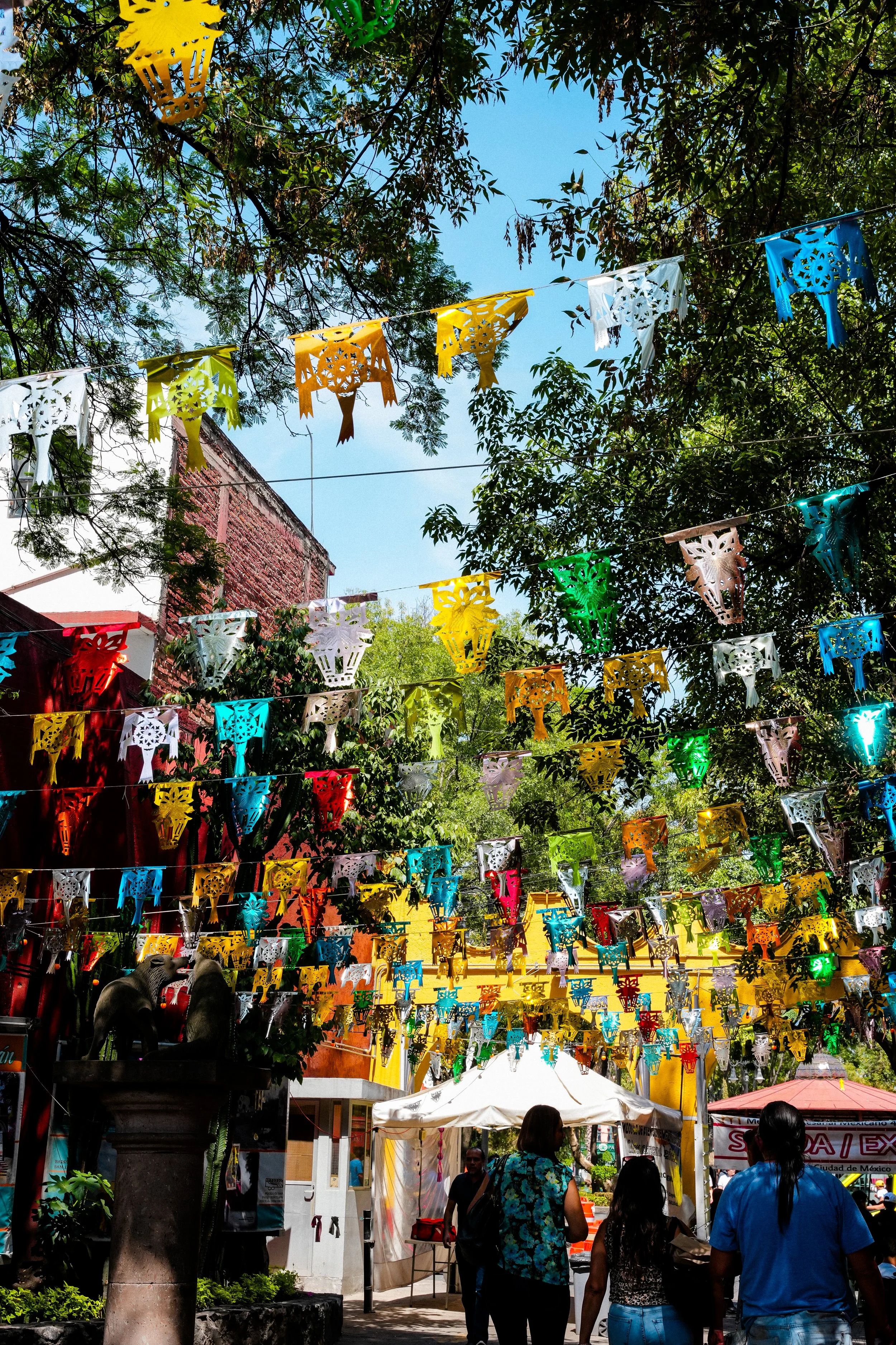 DSC02730-2.jpg