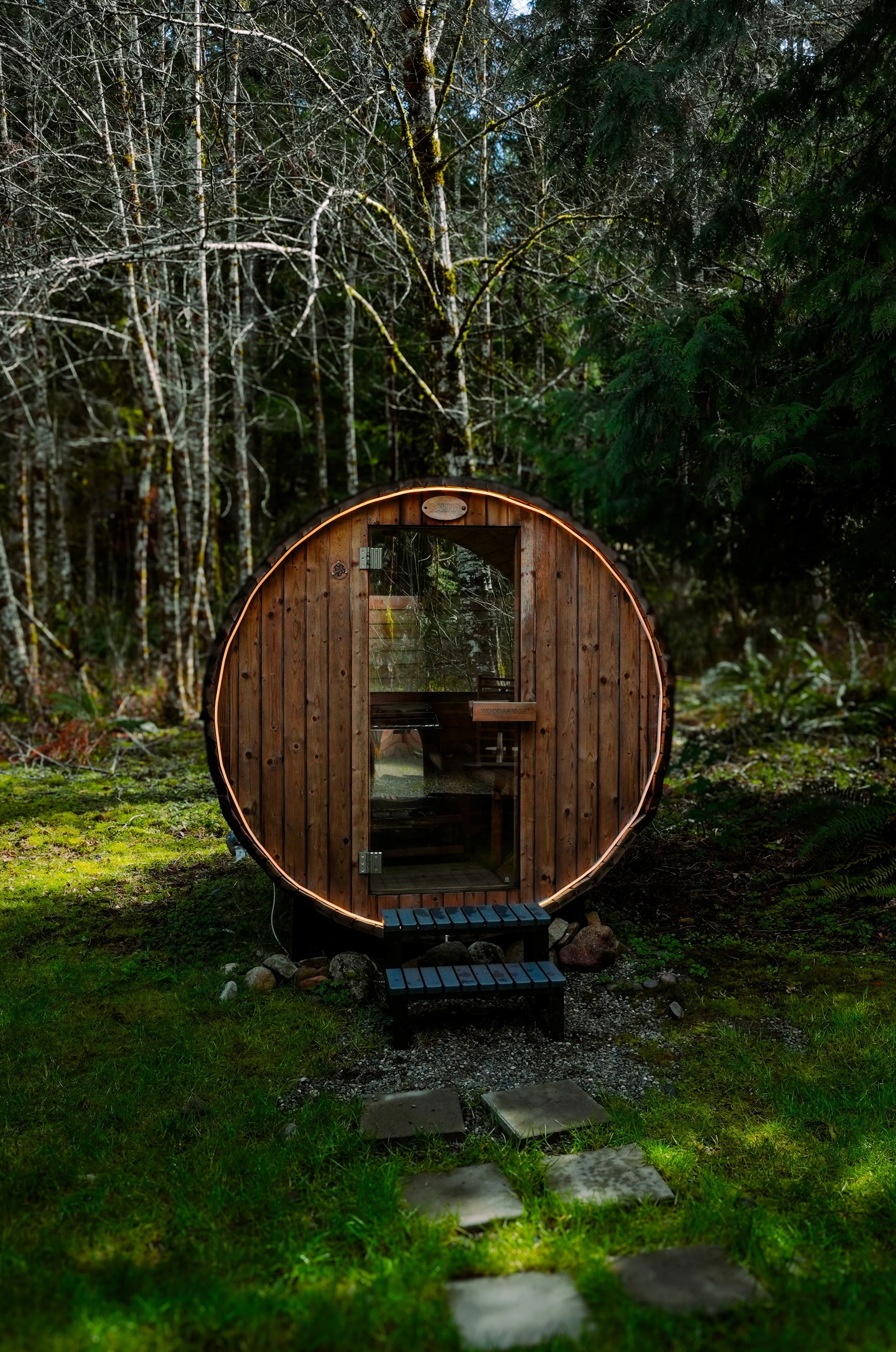 Stay in Nest | Forest Escape