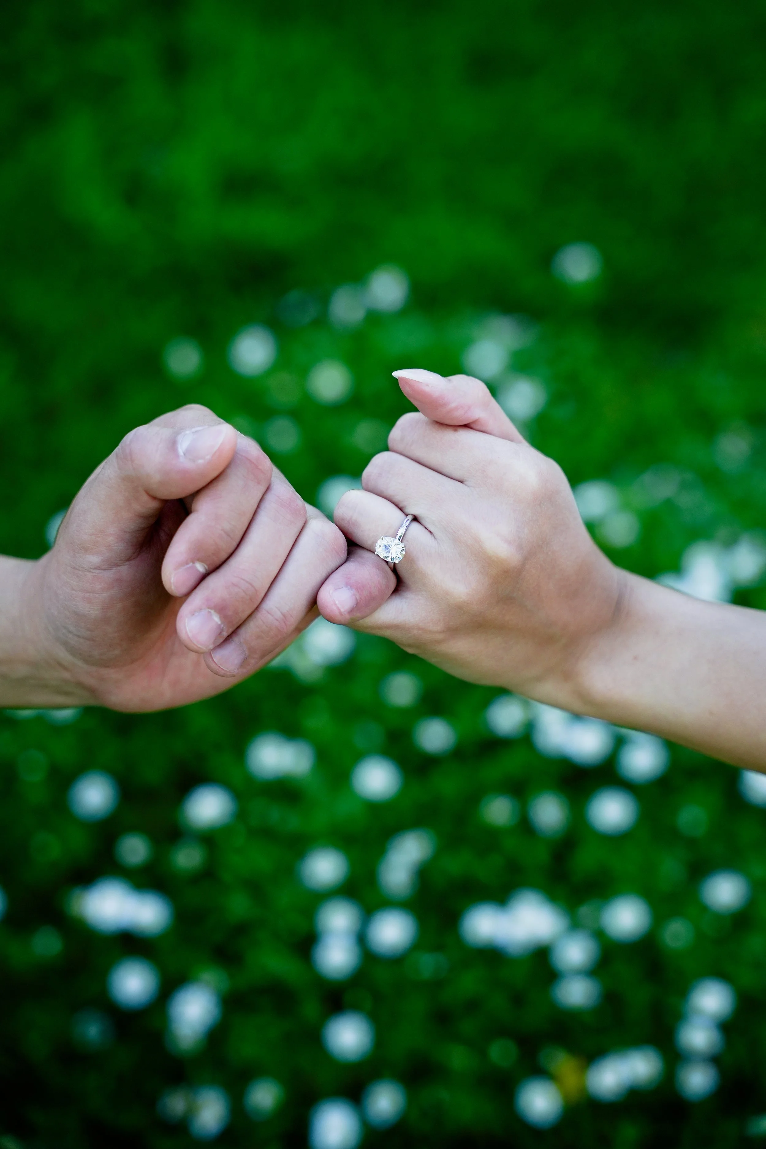 Wedding & Engagement