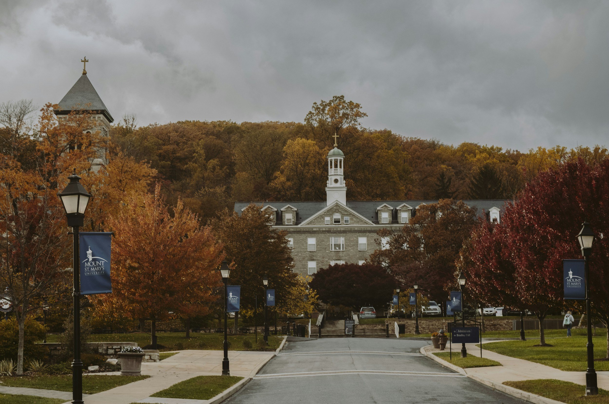 Fall Research Programs for High School Students: 7 Programs to Start the New School Year