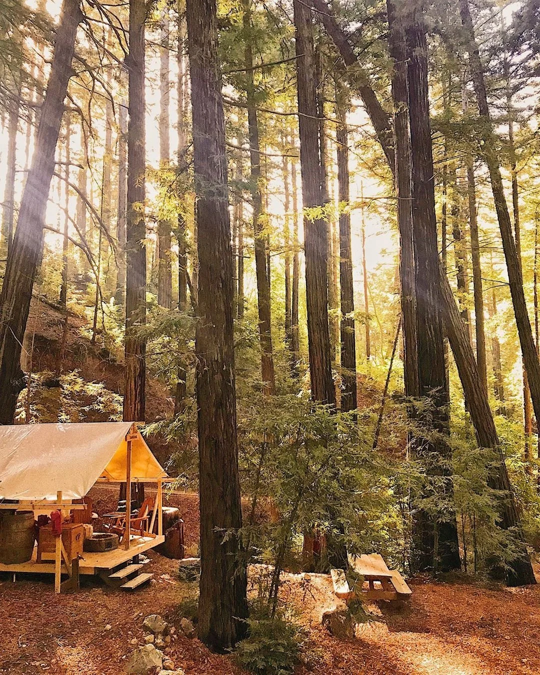 Ventana Hotel & Spa - Alila Resort, Big Sur CA (glamping) BHD
