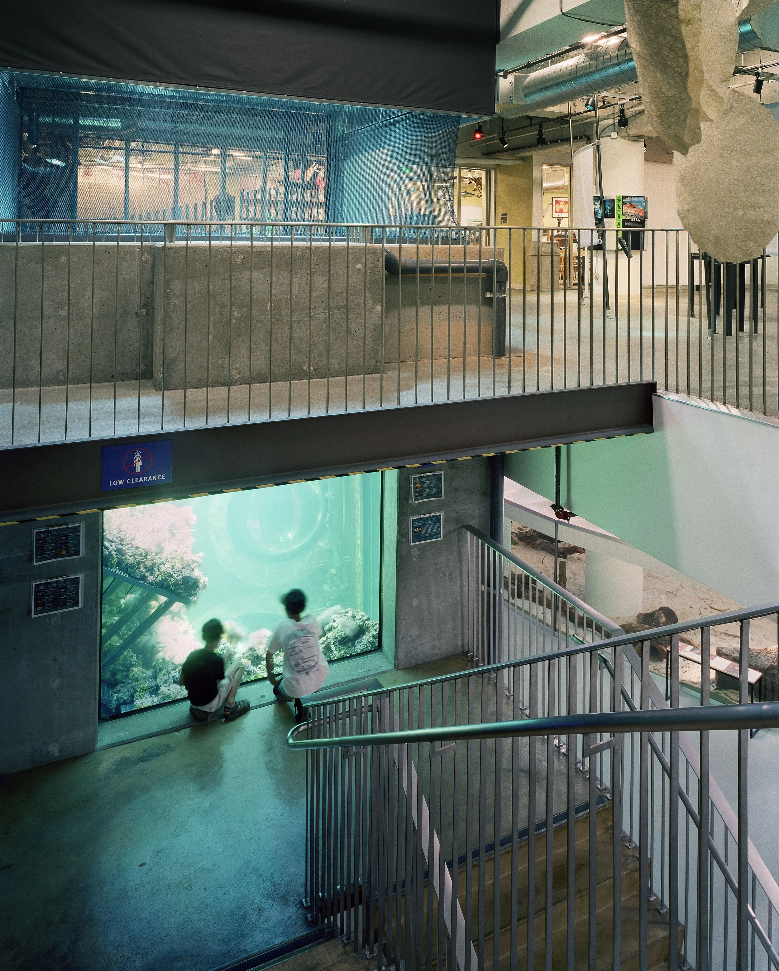 California Academy of Sciences - Transition Museum, SF CA - (program spaces: 2 Story Salt Tank) Melander Architects