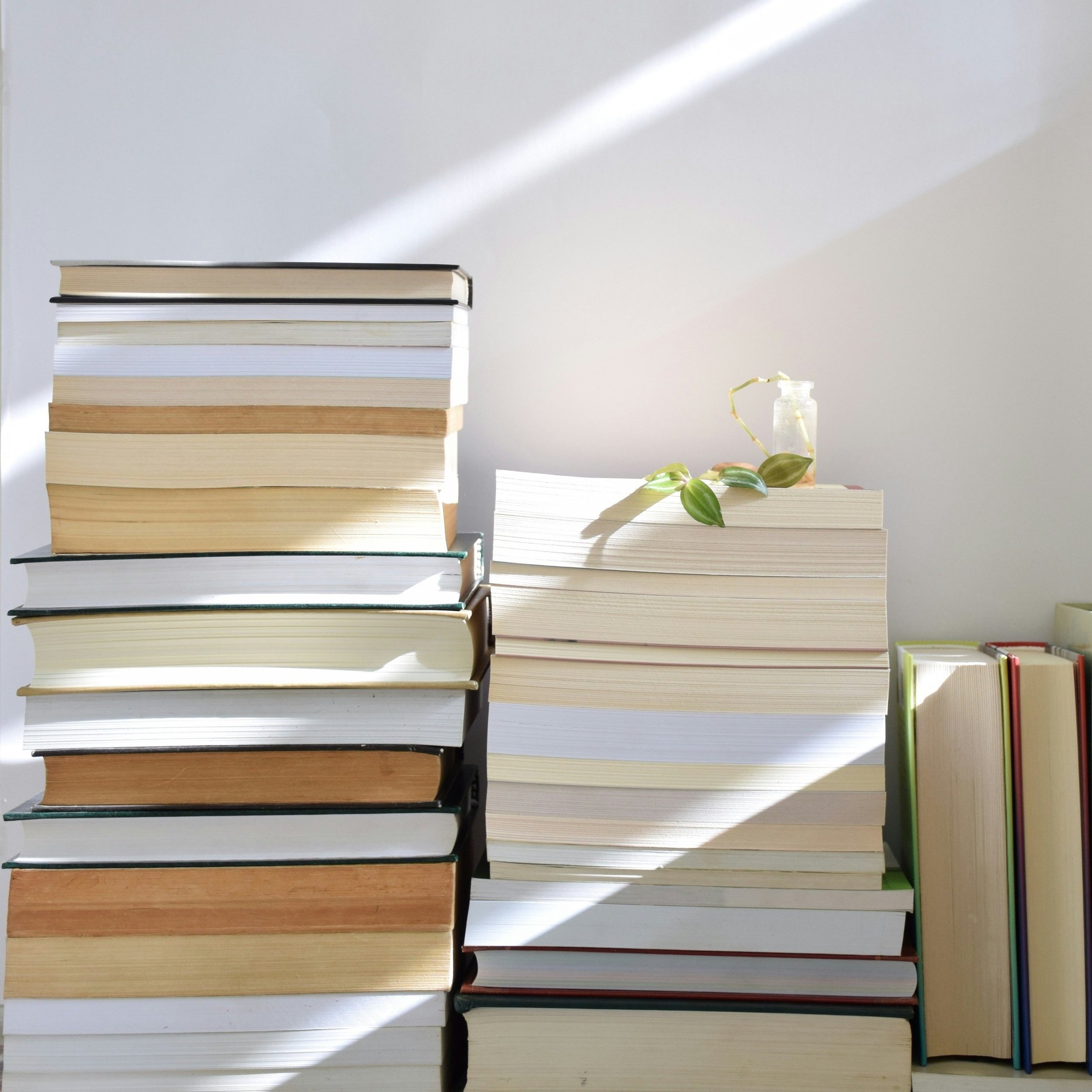 Non-grief Books for My Grief