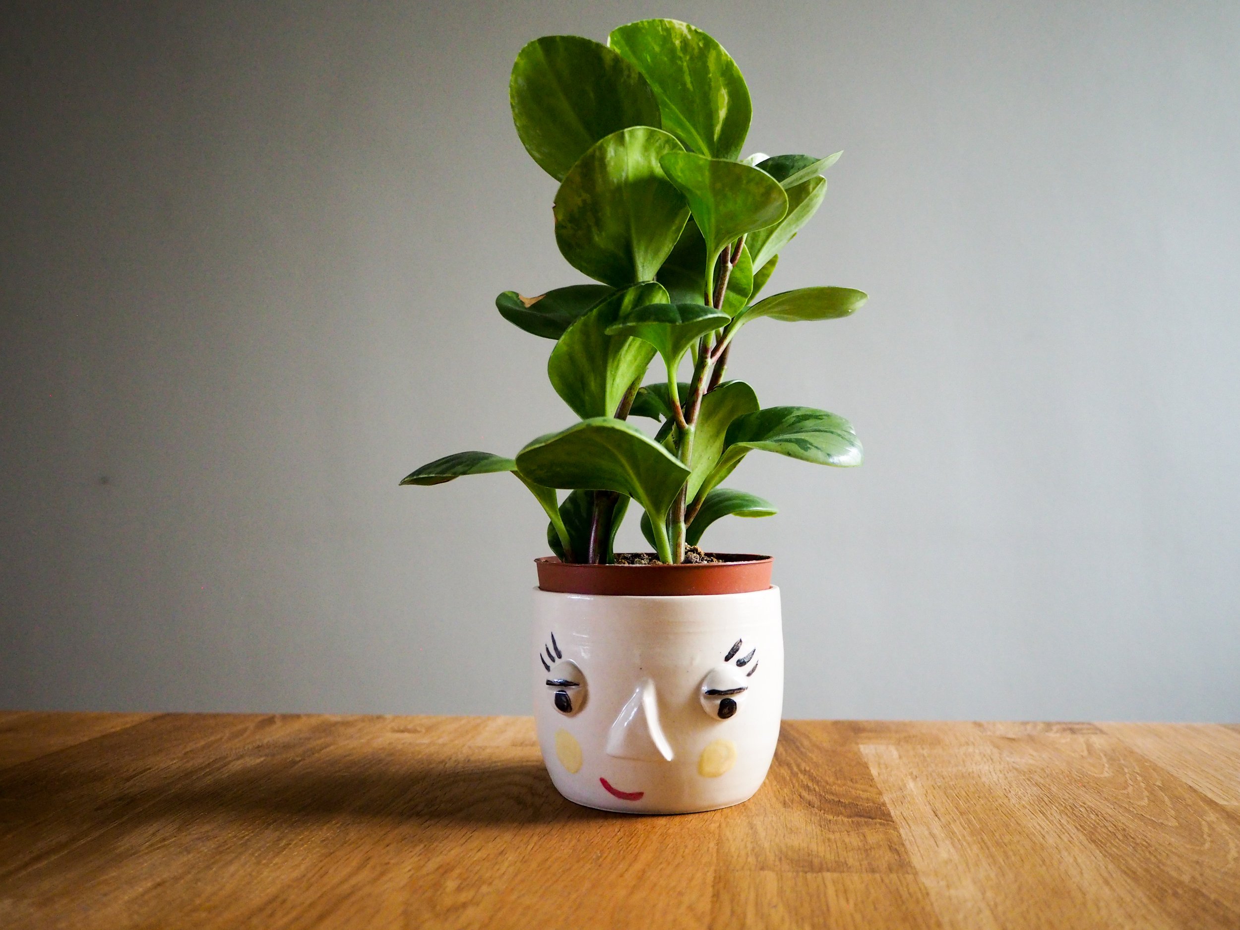 lizliz-ceramics-9.jpg