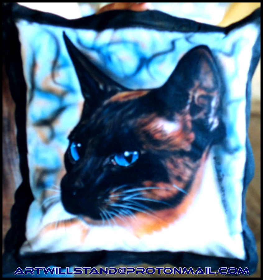 Cat pillow.png