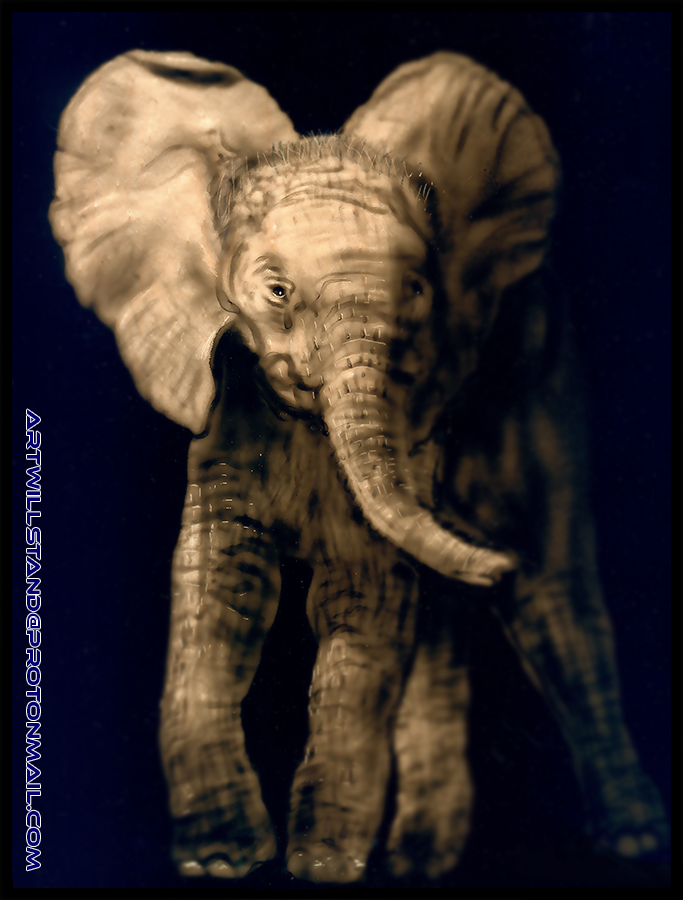 Peinture éléphant.png