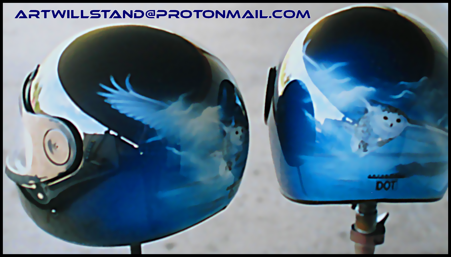 Helmet duo owl.png