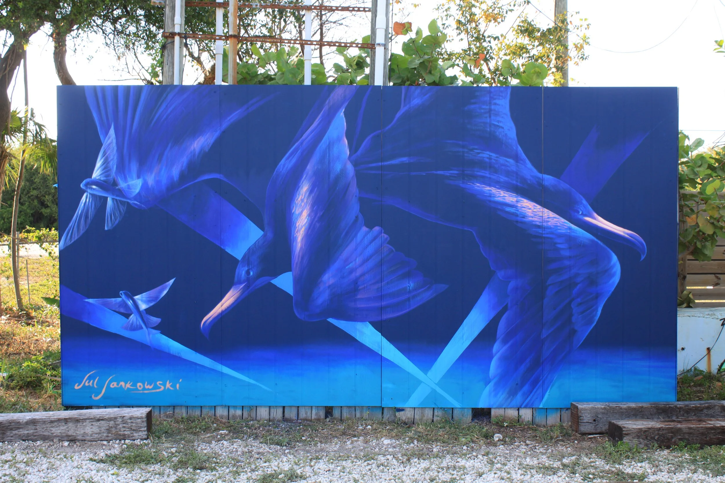 Frigatebirds on Grassy Key, The Lagoon/Keys Cable, Marathon FL, 8x16ft, 2026