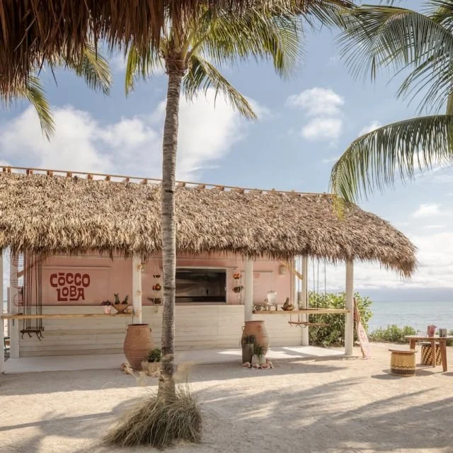 Cocco Loba Lettering, Islander Resort, Islamorada, FL 2025