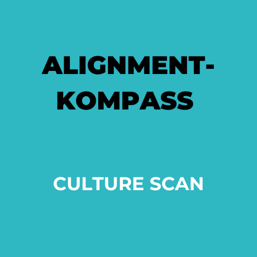 Alignment-Kompass – Culture Scan (bis 10 Personen)